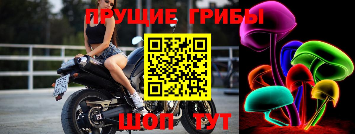 Галлюциногенные грибы Cubensis Зима