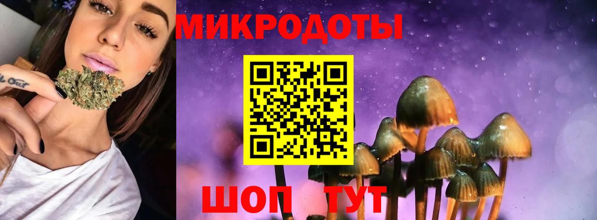 Зима  Псилоцибиновые грибы Psilocybe  Вход с VPN 